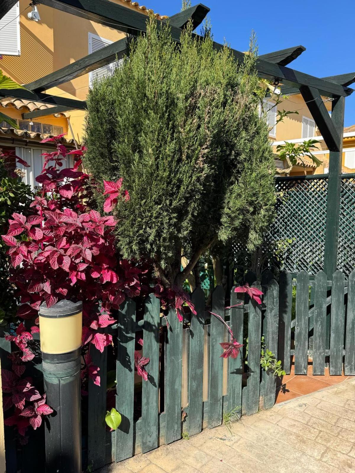 Casa Coqueta Con Jardin